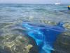 blue and green mermaid tail :-) :: blaue Flosse im Meer