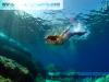 Lanzarote Mermaids Unterwasser Fotoshooting :: Lanzarote Mermaid Lisa