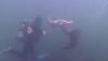 meerjungfrau-live.de Meerjungfrau Natalie :: Meerjungfrau auf Fehmarn unterwasserdreh