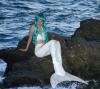 Mermaid Caltuna :: Pearl Mermaid