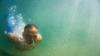 Merman Swimstevie :: Sommer-Tauchgang an einem Unterwasser-Steilhang