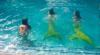 My friends and I :: Meerjungfrauen Swim