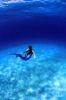 wonderful mermaids :: The deep blue