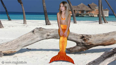 mermaid-tail-94.jpg