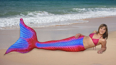 mermaid-tail-202.jpg