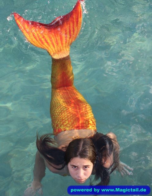 Mermaid J:Mermaid-MermaidJ