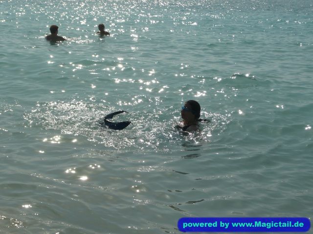Mermaid Talia:My first swim with my tail!-atlantiscitizen