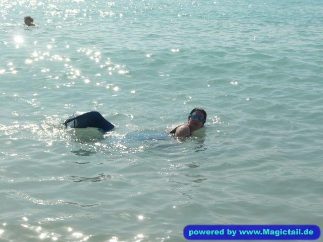Mermaid Talia:Keep swimming, keep swimming...-atlantiscitizen