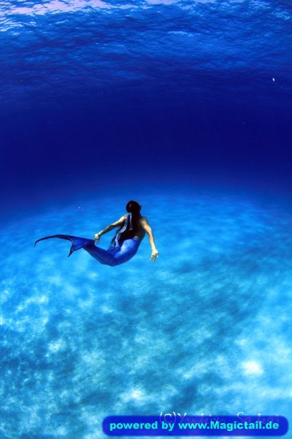 wonderful mermaids:The deep blue-M-KS