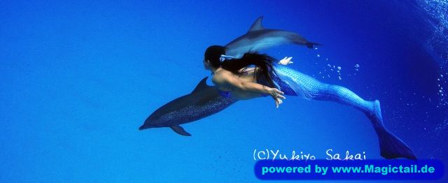 wonderful mermaids:Flydive-M-KS