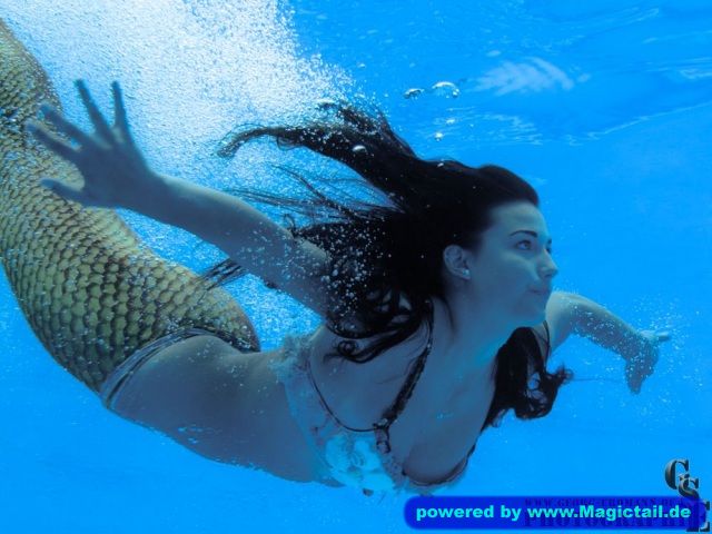wonderful mermaids:Dreamy-M-KS