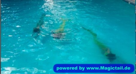 My friends and I:swimming is the most fun for all mermaids...-rubymermaid