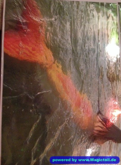 Am Murtensee:Meerjungfrau am murten see-perle