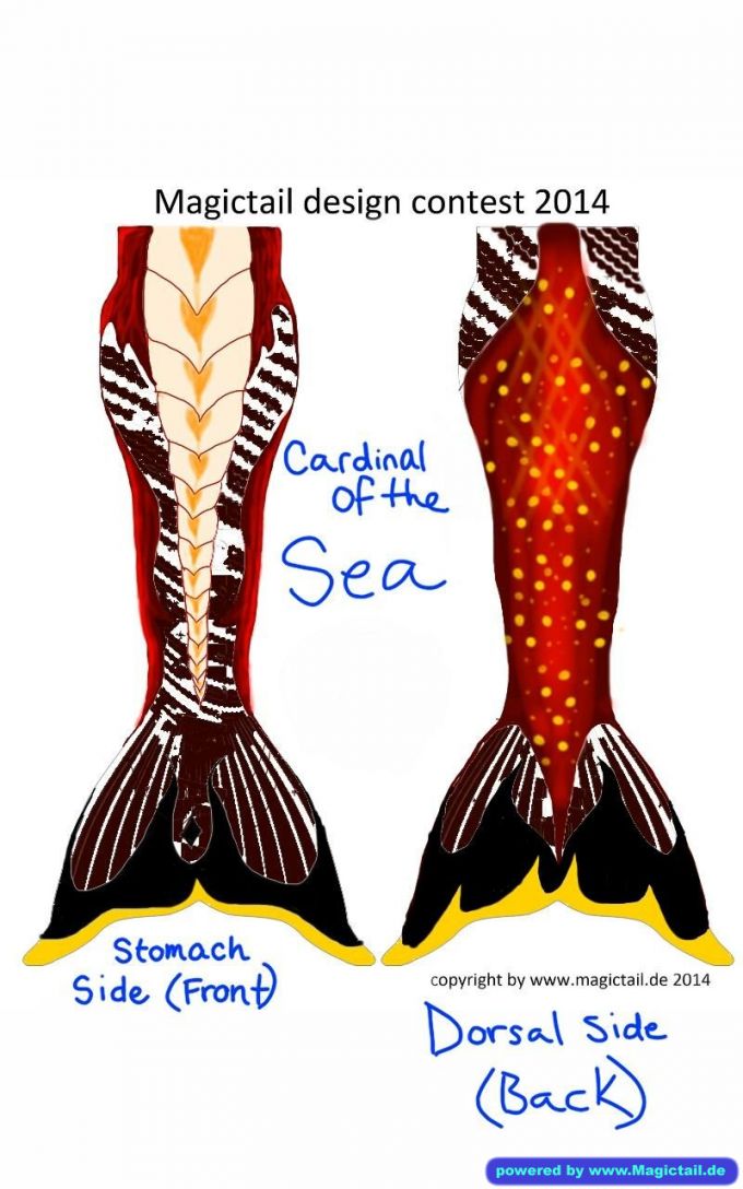 Design Contest 2014:Cardinal of the Sea-Magictail GmbH