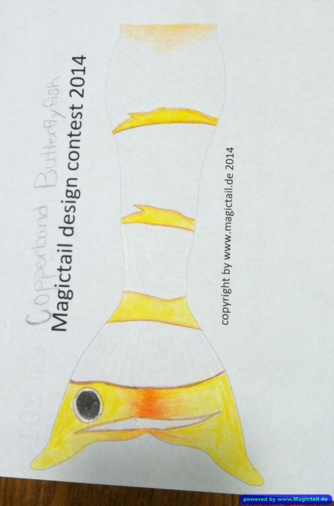 Design Contest 2014:Copperband butterflyfish-Magictail GmbH