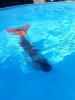 First swim with my Tail 'H2O' <3 :: Im Pool ;)