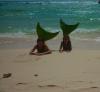Mermaids at the beach :: H2O