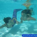 Komm, schwimm mit mir!