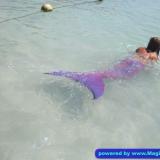 Im Meer