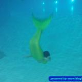 Abtauchfigur: Skorpion