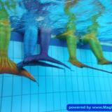 Wie sehen die Farben unterwasser aus! Teil 2