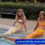 das bild aus demm kurier 