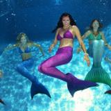 Meerjungfrauen-club Katharina Hegemann