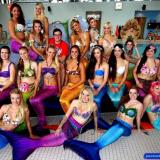 Miss mermaid Germany Wahl 2014