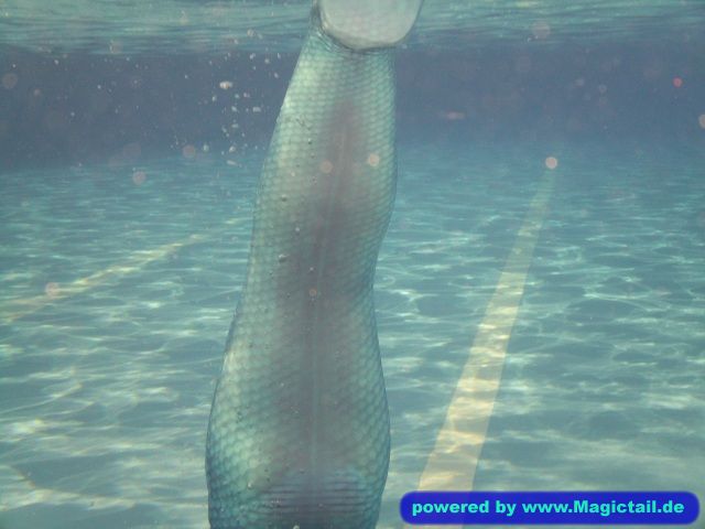 blue and green mermaid tail :-):Mermaid von hinten :-)-Koralle98