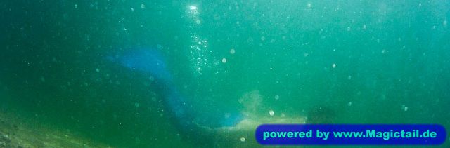 Merman Swimstevie:Sommer-Tauchgang an einem Unterwasser-Steilhang-Swimstevie